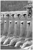 Bonneville Dam. Columbia River Gorge, Oregon, USA ( black and white)