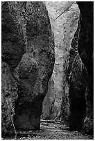 Narrow canyon, Oneonta Gorge. Columbia River Gorge, Oregon, USA (black and white)