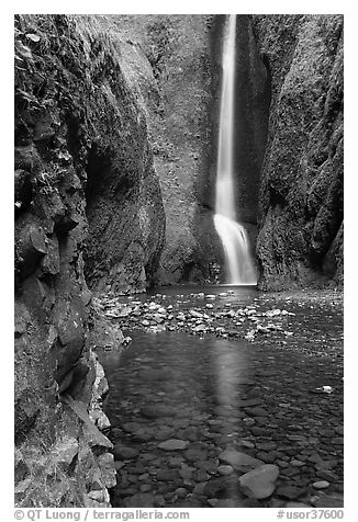 Oneonta Falls at the end of Oneonta Gorge. Columbia River Gorge, Oregon, USA