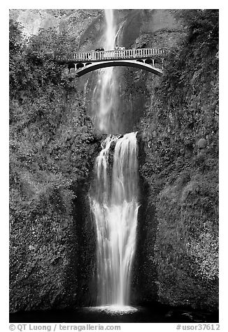 Lower Multnomah Falls and Benson Bridge. Columbia River Gorge, Oregon, USA (black and white)