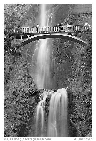 Benson Bridge and Multnomah Falls. Columbia River Gorge, Oregon, USA (black and white)