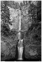 Multnomah Falls. Columbia River Gorge, Oregon, USA (black and white)