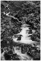 Wahkeena Falls. Columbia River Gorge, Oregon, USA (black and white)