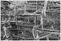Traps for crabbing. Newport, Oregon, USA (black and white)