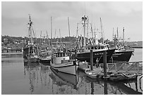 Commercial fishing boats. Newport, Oregon, USA ( black and white)