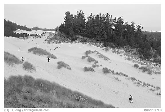 Dunes and hikers, Oregon Dunes National Recreation Area. Oregon, USA