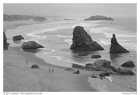 Beach and rock needles. Bandon, Oregon, USA (black and white)