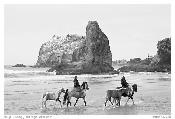 Women horse-riding on beach. Bandon, Oregon, USA