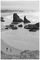 Beach and seastacks at Face Rock. Bandon, Oregon, USA (black and white)