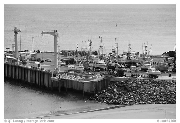Pier, Port Orford. Oregon, USA (black and white)