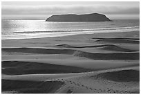 Sand dunes and island, Pistol River State Park. Oregon, USA ( black and white)