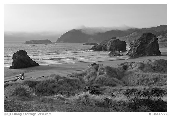 Grasses, beach and seastacks, late afternoon, Pistol River State Park. Oregon, USA