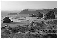 Grasses, beach and seastacks, late afternoon, Pistol River State Park. Oregon, USA ( black and white)