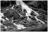 Mossy rocks and stream, North Umpqua river. Oregon, USA (black and white)