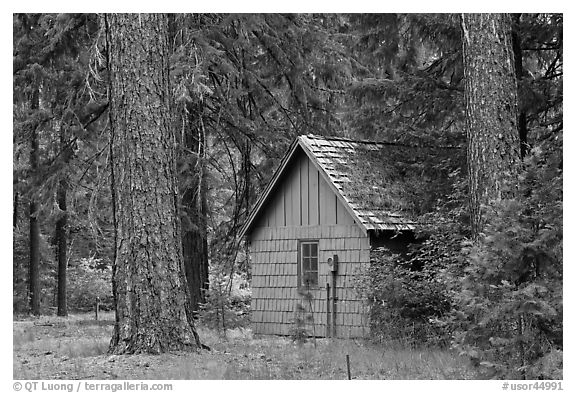 Union Creek red cabin in forest. Oregon, USA (black and white)