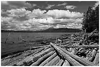 Crane Praire Reservoir and logs. Oregon, USA ( black and white)