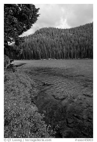 Clear emerald waters, Devils Lake. Oregon, USA (black and white)