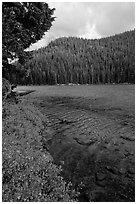 Clear emerald waters, Devils Lake. Oregon, USA ( black and white)