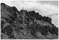 Lava outcrop, Deschutes National Forest. Oregon, USA (black and white)
