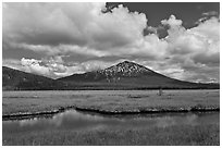 Meadow and South Sister in early summer. Oregon, USA (black and white)