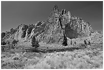 Ryolite cliffs. Smith Rock State Park, Oregon, USA ( black and white)