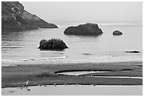 Pool and rocks, Harris Beach State Park. Oregon, USA (black and white)