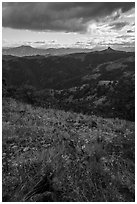 Wildflowers and distant Pilot Rock. Cascade Siskiyou National Monument, Oregon, USA ( black and white)