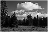 Meadow and clouds near Grizzly Peak. Cascade Siskiyou National Monument, Oregon, USA ( black and white)