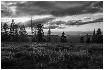 Meadow, sun, and view over mountains near Grizzly Peak. Cascade Siskiyou National Monument, Oregon, USA ( black and white)