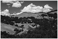 Hills with Oak woodlands, Emigrant Creek Area. Cascade Siskiyou National Monument, Oregon, USA ( black and white)