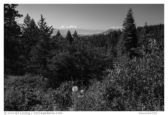 Soda Mountain Wilderness and Mount Shasta. Cascade Siskiyou National Monument, Oregon, USA (black and white)