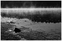 Fog and sunlight, Hyatt Lake. Cascade Siskiyou National Monument, Oregon, USA ( black and white)