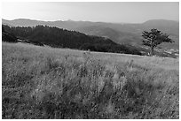 Meadow and Rogue Valley, Green Springs Mountain. Cascade Siskiyou National Monument, Oregon, USA ( black and white)
