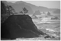 Coastline with rocks and seastacks, Samuel Boardman State Park. Oregon, USA (black and white)