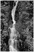 Waterfall, Hamburg Mountain State Parke. Oregon, USA ( black and white)