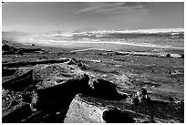 Beach with driftwood. Bandon, Oregon, USA (black and white)