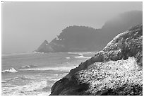 Rock with birds in fog,  Haceta Head in the background. Oregon, USA (black and white)