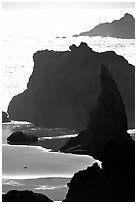 Seastacks, reflections, and beach, late afternoon. Bandon, Oregon, USA ( black and white)