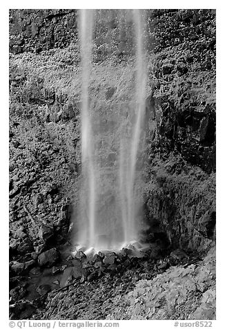 Diaphane waterfall, North Umpqua watershed. Oregon, USA