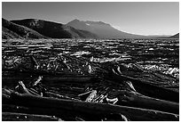 Knocked tree trunks cover Spirit Lake. Mount St Helens National Volcanic Monument, Washington ( black and white)