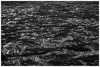 Floating log mat on Spirit Lake. Mount St Helens National Volcanic Monument, Washington ( black and white)