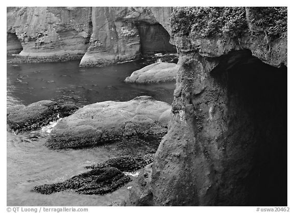 Deep Sea caves, Cape Flattery, Olympic Peninsula. Olympic Peninsula, Washington