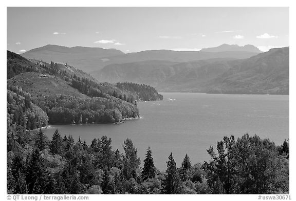 Riffe Lake. Washington