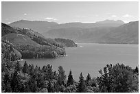 Riffe Lake. Washington ( black and white)