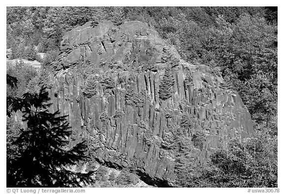 Bloc of columnar basalt, Lava Canyon. Mount St Helens National Volcanic Monument, Washington (black and white)