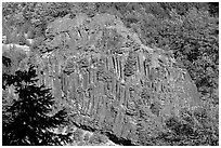 Bloc of columnar basalt, Lava Canyon. Mount St Helens National Volcanic Monument, Washington ( black and white)