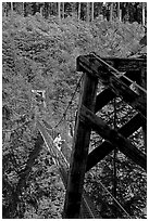 Suspension bridge over Lava Canyon. Mount St Helens National Volcanic Monument, Washington ( black and white)