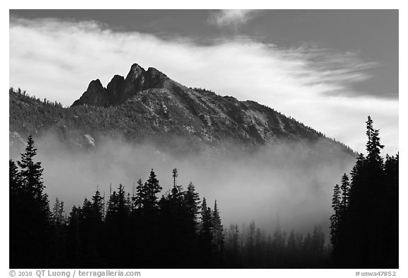 Whistler Mountain emerging from fog. Washington (black and white)