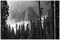 Liberty Bell Mountain framed by spruce trees. Washington ( black and white)
