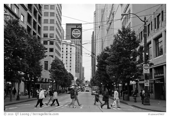 Pedestrian crossing and busses, downtown. Seattle, Washington (black and white)